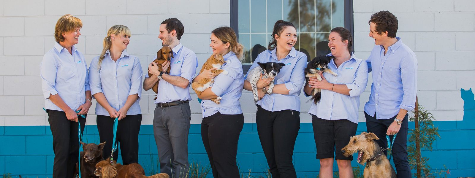 Vets in Endeavour Hills Opening Hours