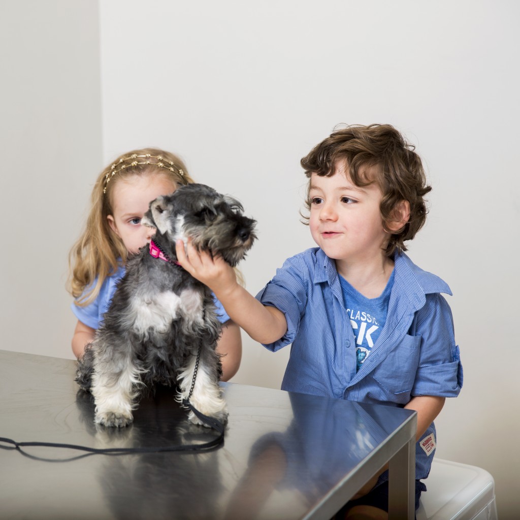 Kids looking after their pets Vets in Endeavour Hills