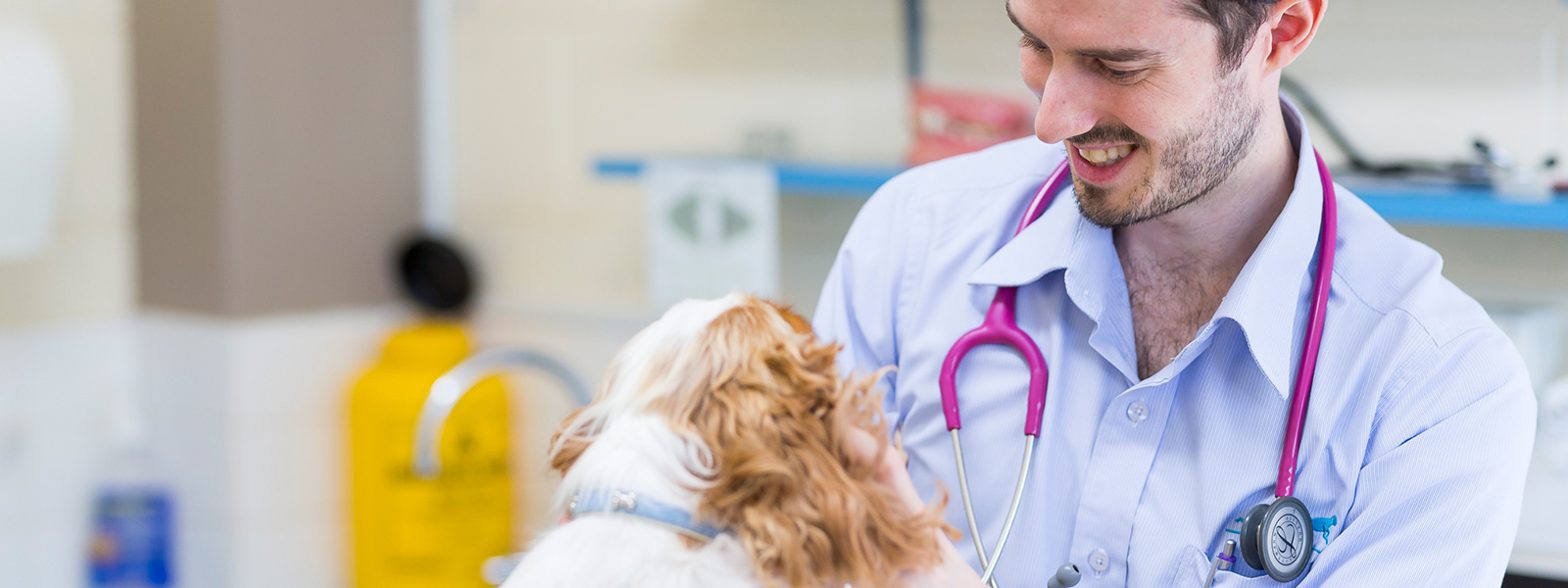 Veterinary Pathology in Endeavour Hills