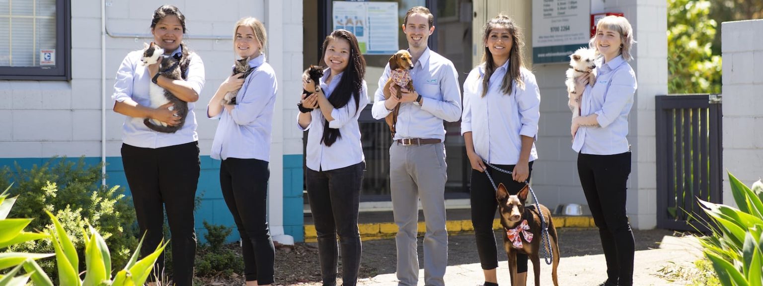 Vets in Endeavour Hills Opening Hours